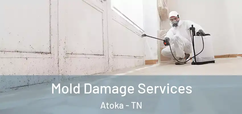 Mold Damage Services Atoka - TN