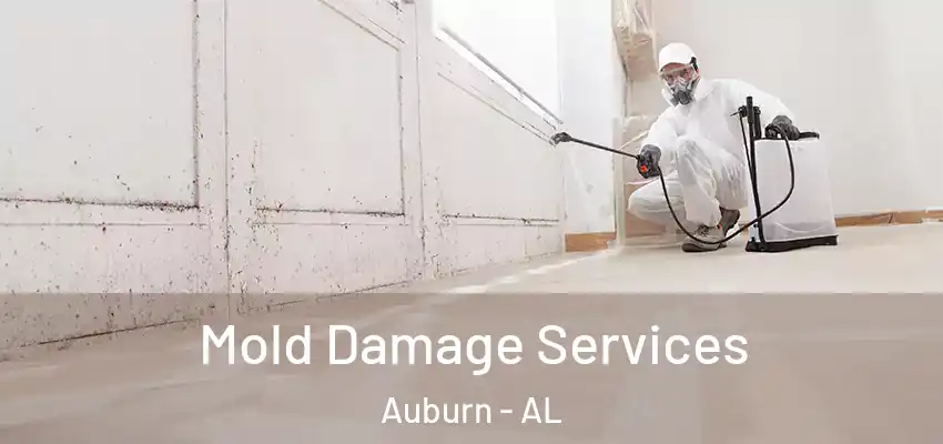 Mold Damage Services Auburn - AL
