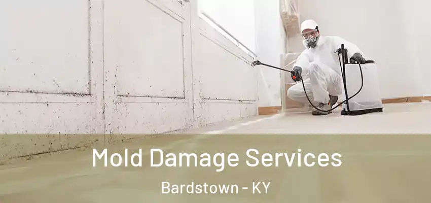  Mold Damage Services Bardstown - KY