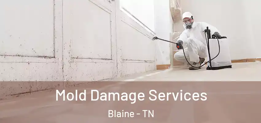 Mold Damage Services Blaine - TN