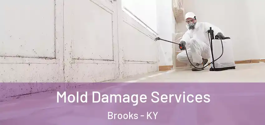  Mold Damage Services Brooks - KY