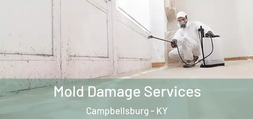  Mold Damage Services Campbellsburg - KY