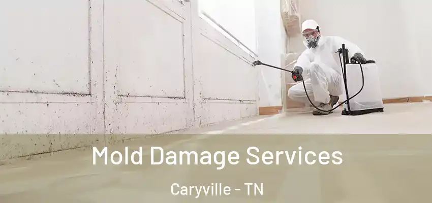  Mold Damage Services Caryville - TN