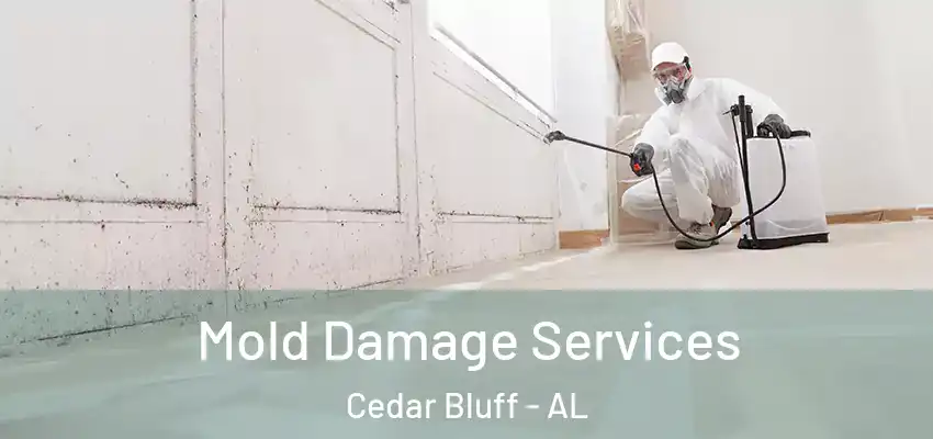  Mold Damage Services Cedar Bluff - AL