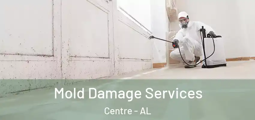  Mold Damage Services Centre - AL