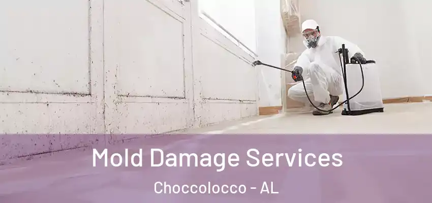 Mold Damage Services Choccolocco - AL