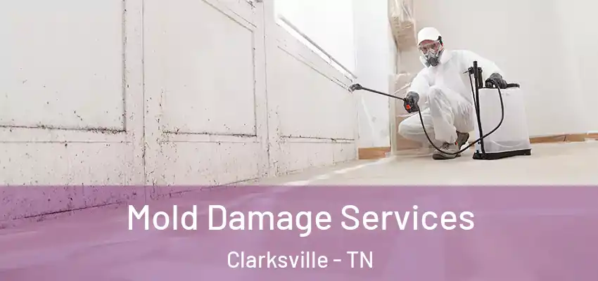  Mold Damage Services Clarksville - TN