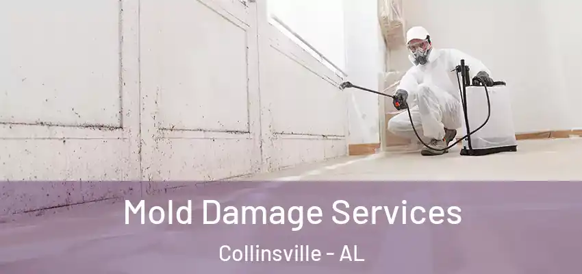  Mold Damage Services Collinsville - AL
