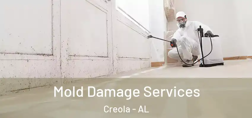  Mold Damage Services Creola - AL