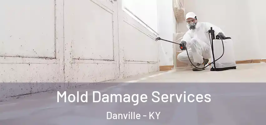 Mold Damage Services Danville - KY
