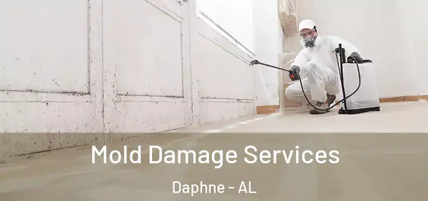  Mold Damage Services Daphne - AL