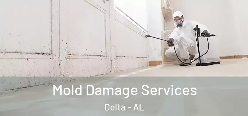  Mold Damage Services Delta - AL