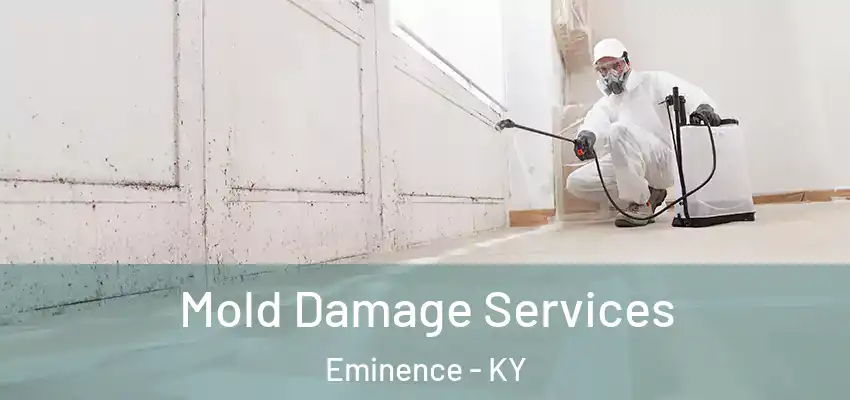  Mold Damage Services Eminence - KY