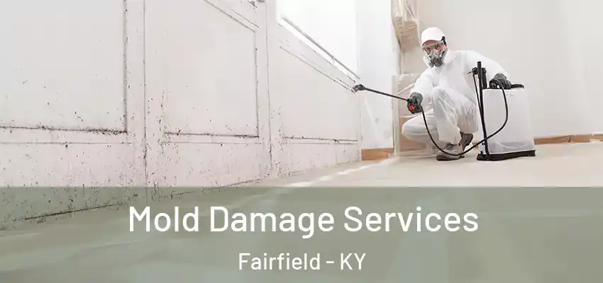 Mold Damage Services Fairfield - KY