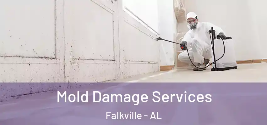 Mold Damage Services Falkville - AL