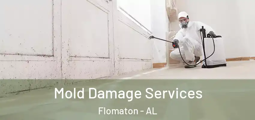  Mold Damage Services Flomaton - AL
