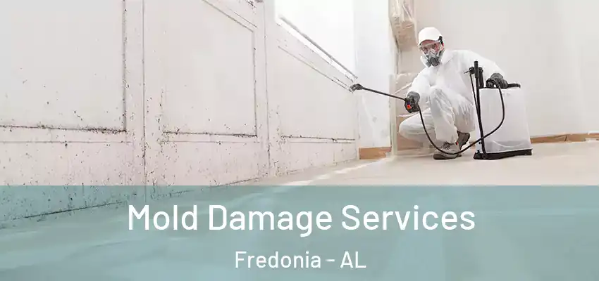  Mold Damage Services Fredonia - AL