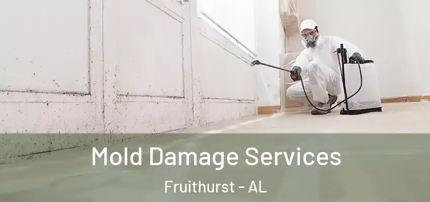  Mold Damage Services Fruithurst - AL