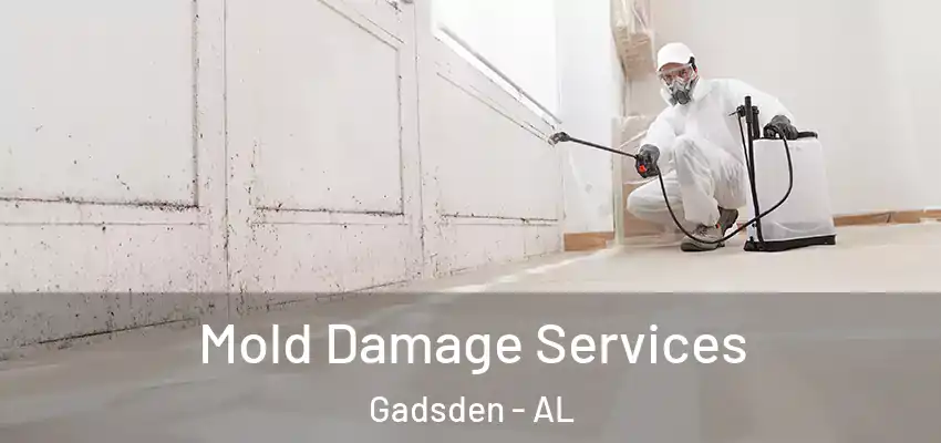  Mold Damage Services Gadsden - AL