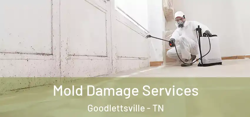  Mold Damage Services Goodlettsville - TN