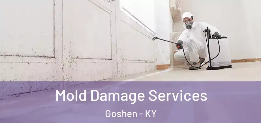  Mold Damage Services Goshen - KY