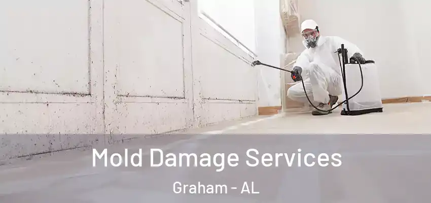  Mold Damage Services Graham - AL