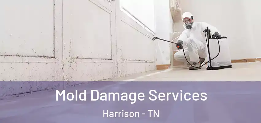  Mold Damage Services Harrison - TN