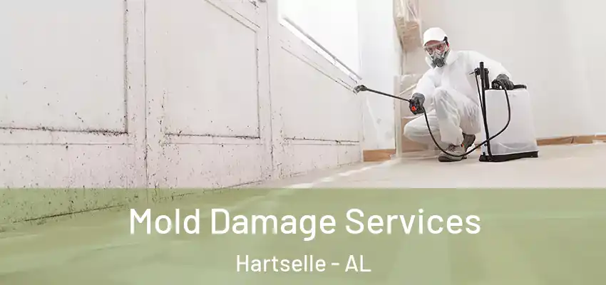  Mold Damage Services Hartselle - AL