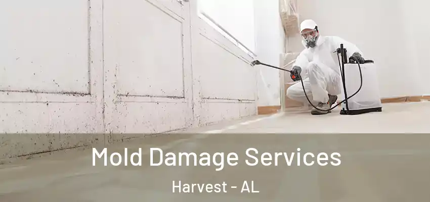  Mold Damage Services Harvest - AL