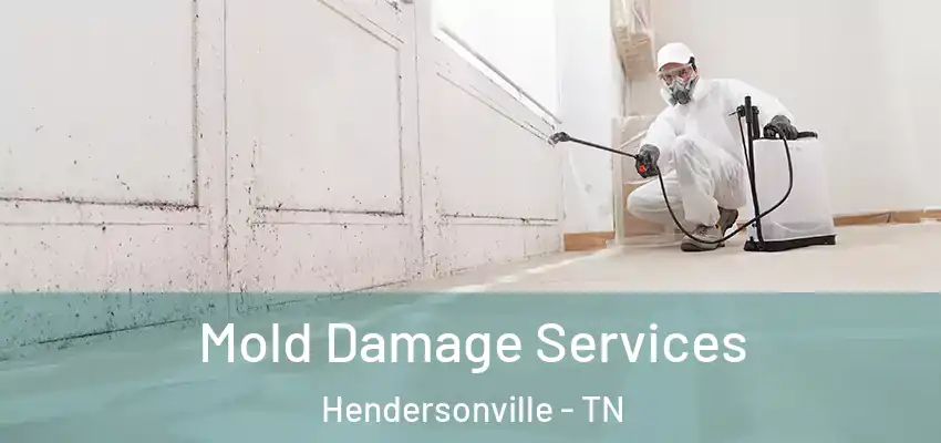  Mold Damage Services Hendersonville - TN