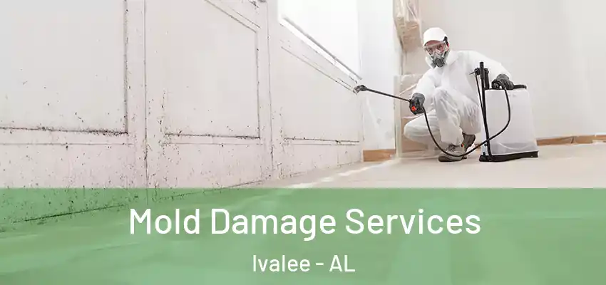 Mold Damage Services Ivalee - AL