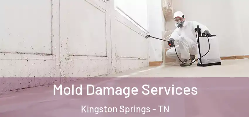 Mold Damage Services Kingston Springs - TN