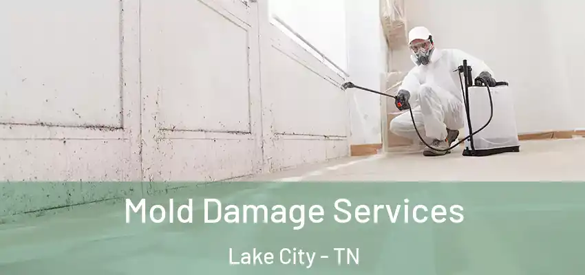  Mold Damage Services Lake City - TN