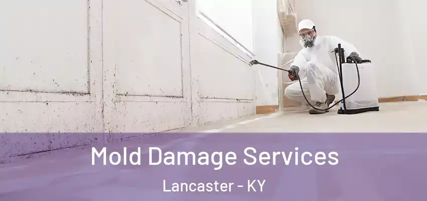  Mold Damage Services Lancaster - KY