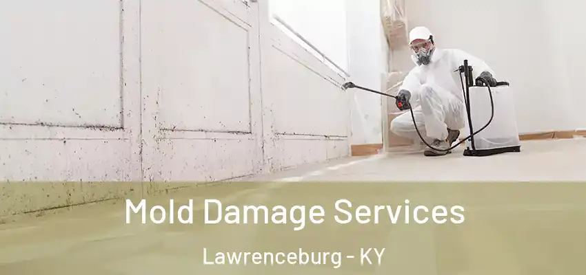 Mold Damage Services Lawrenceburg - KY