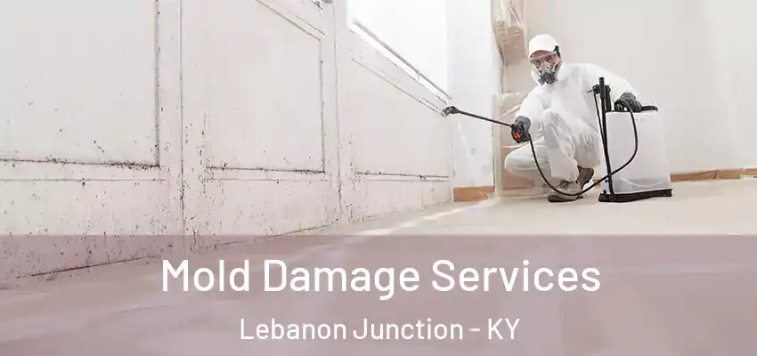  Mold Damage Services Lebanon Junction - KY