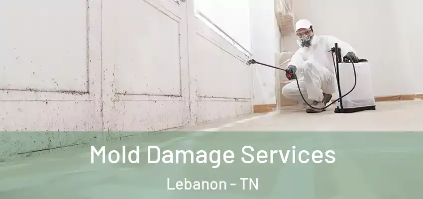  Mold Damage Services Lebanon - TN
