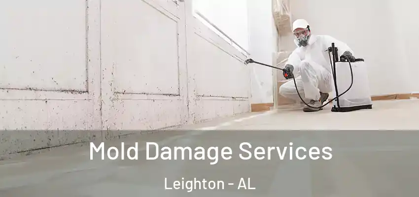 Mold Damage Services Leighton - AL