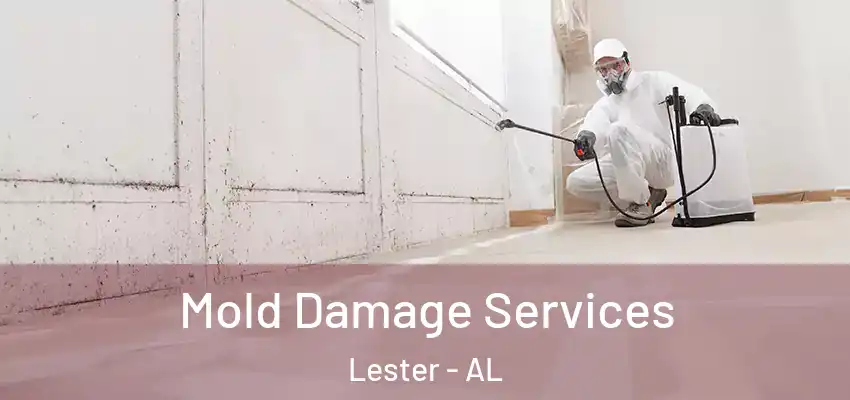 Mold Damage Services Lester - AL