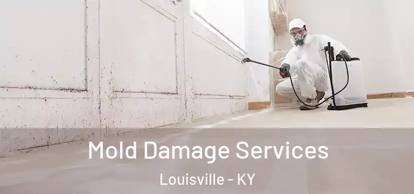  Mold Damage Services Louisville - KY