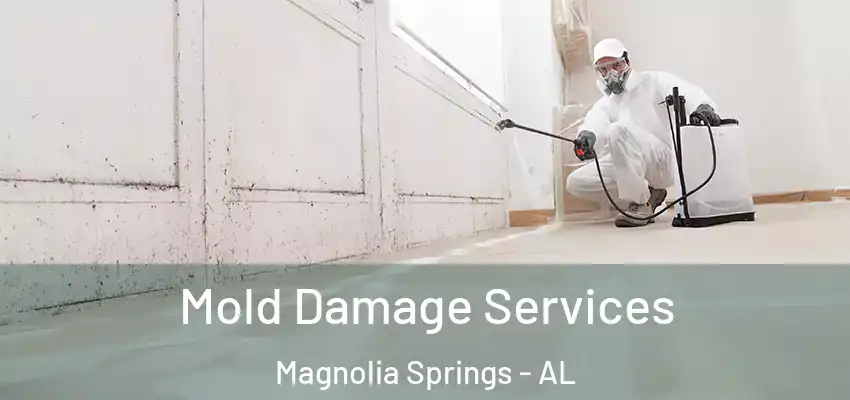 Mold Damage Services Magnolia Springs - AL