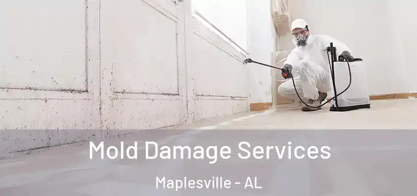 Mold Damage Services Maplesville - AL