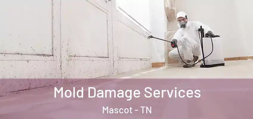  Mold Damage Services Mascot - TN