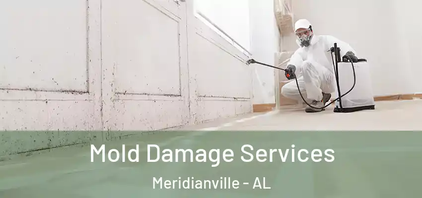  Mold Damage Services Meridianville - AL