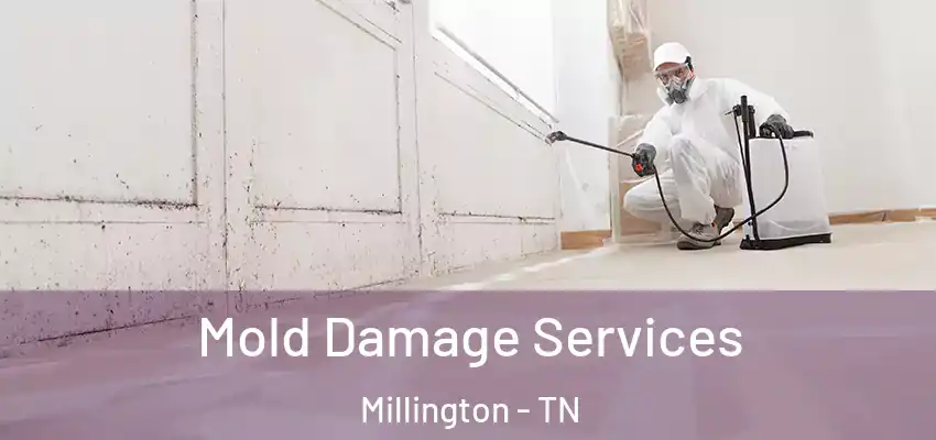 Mold Damage Services Millington - TN