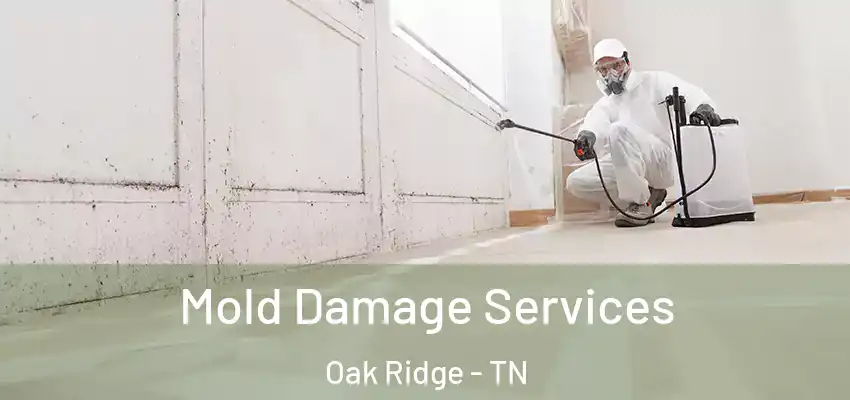  Mold Damage Services Oak Ridge - TN