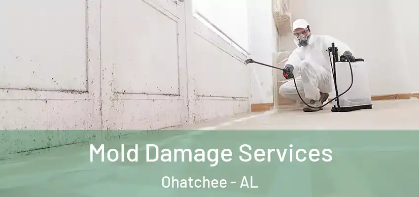  Mold Damage Services Ohatchee - AL