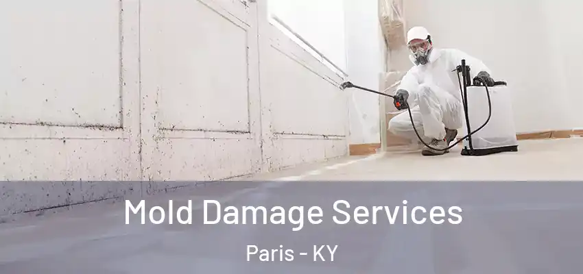Mold Damage Services Paris - KY