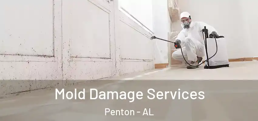 Mold Damage Services Penton - AL