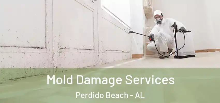 Mold Damage Services Perdido Beach - AL
